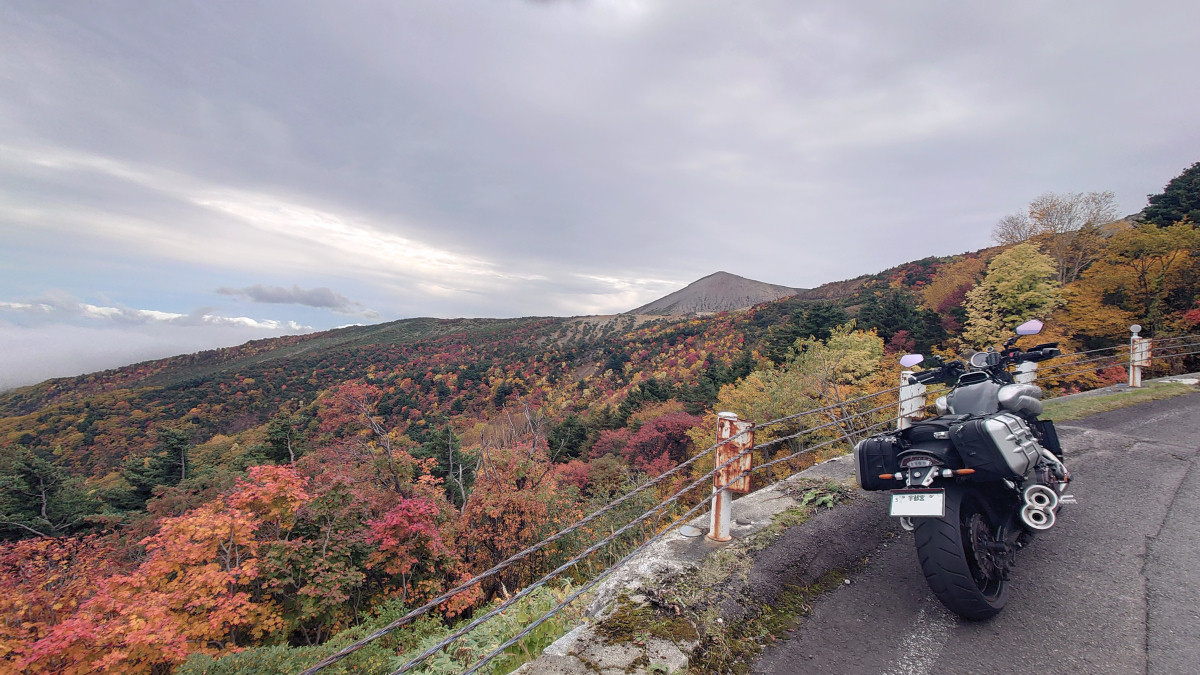 きまぐれ写真館