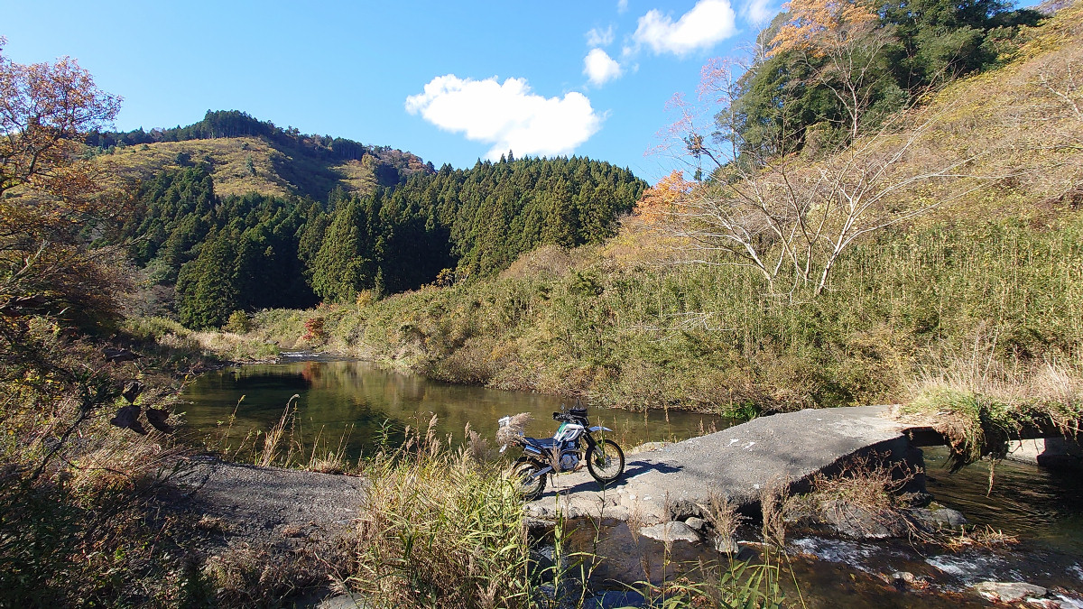 きまぐれ写真館