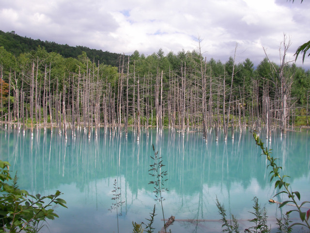 2007年の青い池