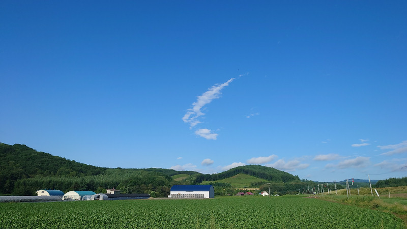 ブーメラン雲