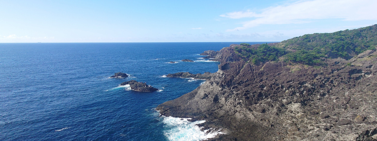 初秋（？）の伊豆半島・半分だけ記、の2