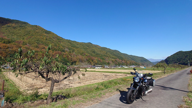 近くの山