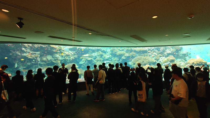 美ら海水族館