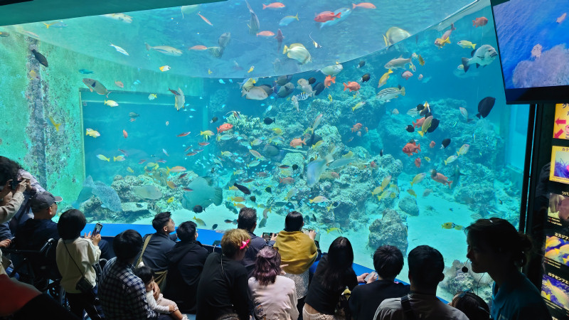 美ら海水族館