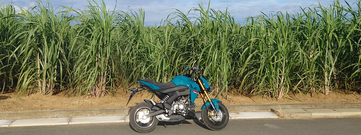 番外編：バイクレンタルとZ125PROインプレ記