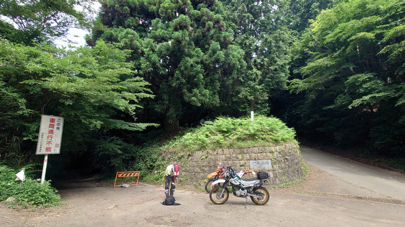 一本杉