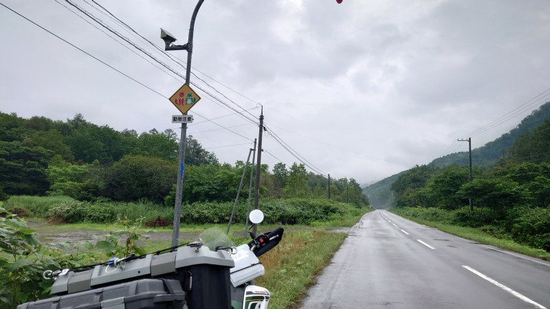 赤いきつねと緑のたぬき