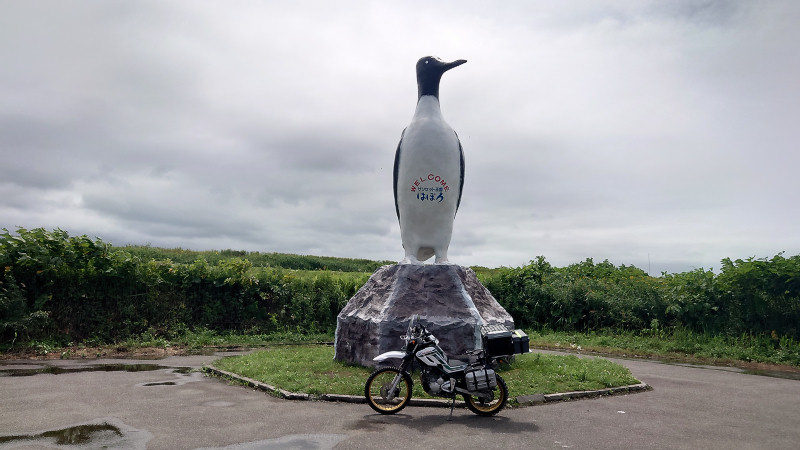 羽幌オロロン鳥