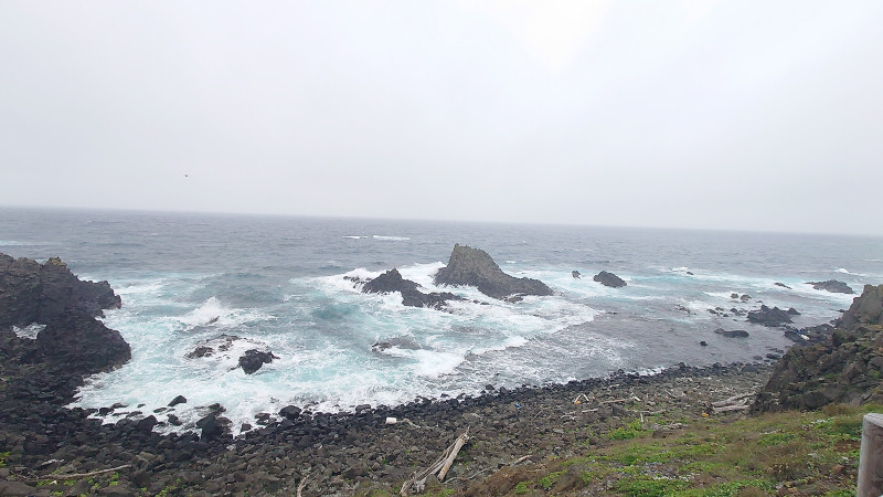 荒ぶる海