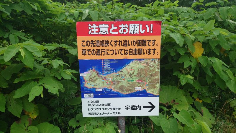 案内板