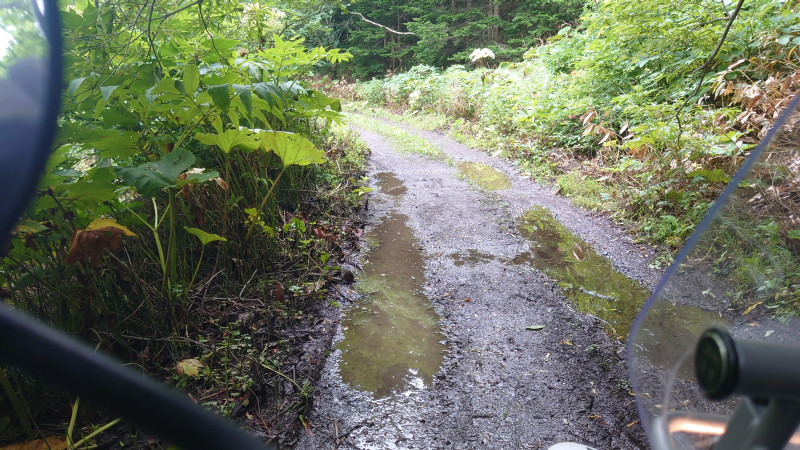 泥路面