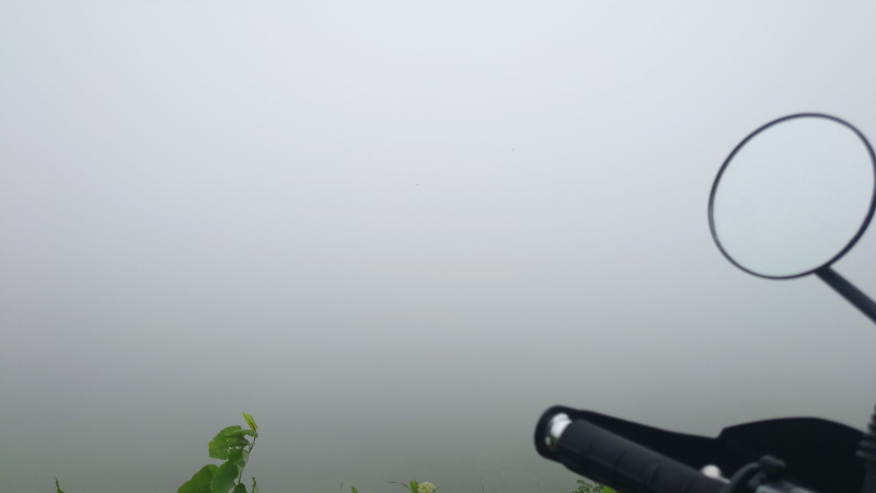 霧の中