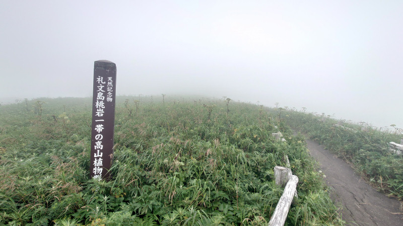 桃岩