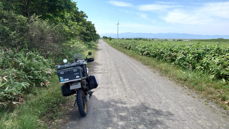 フラットダート