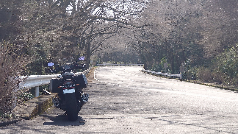 ターンパイク駐車場