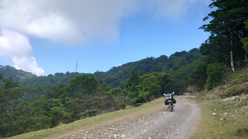 剣山スーパー林道、西側