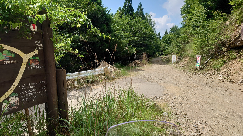 分岐点