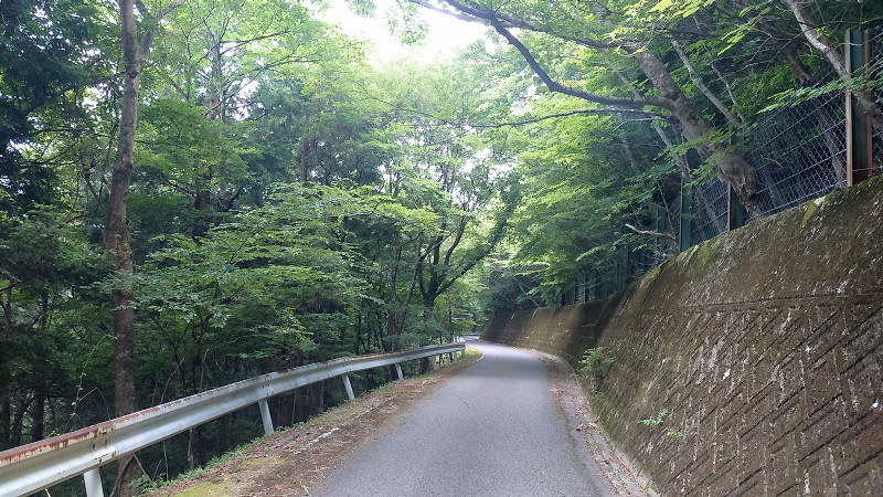 旧道