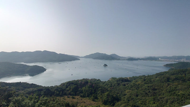 湾と筏